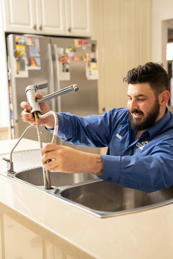 Free Plumbing Home Inspection